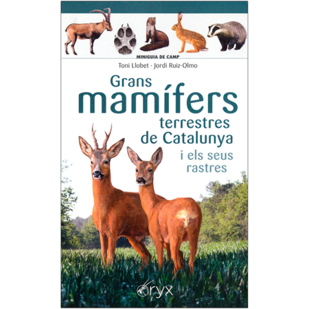 Grans mamífers terrestres de Catalunya